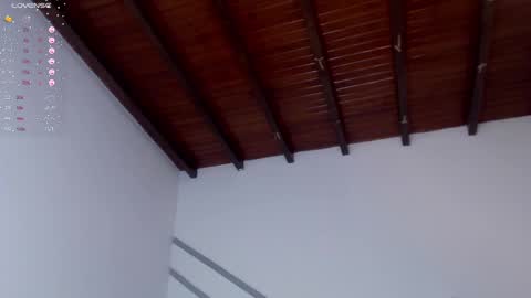 Venus Evans online show from 12.28.24