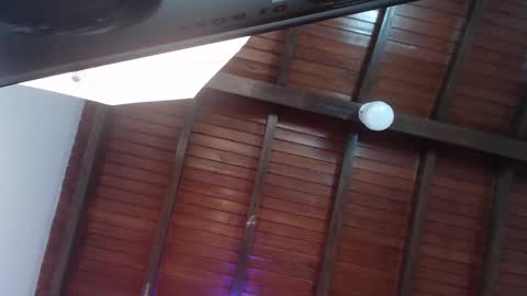 Venus Evans online show from 02.23.25