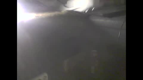 Im DanielVerdo  25 years old Lets have Fun and just ask what wanne know   tnew anal bigock cum  slave  fullnaked online show from 01.09.25