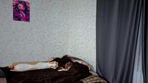 Veronica online show from 03.04.26