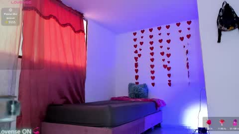 Snapshot of veronica_meller chatting on 02.26.25 Veronica online show from 02.26.25