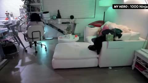 vesafine online show from 11.29.25