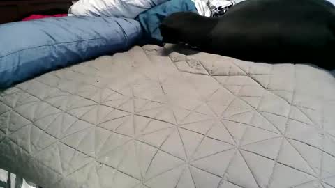 Vexnew online show from 11.04.25