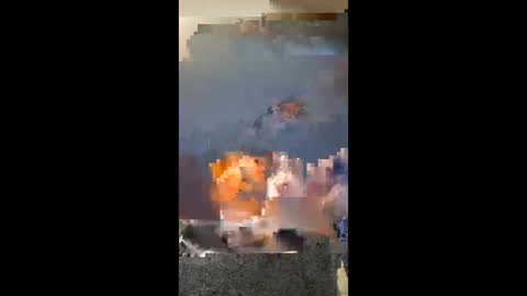 vhornynige69 online show from 01.09.26