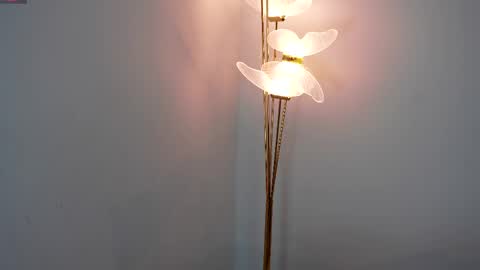 Sophie and Stan  online show from 04.09.26