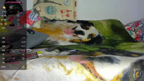 vicky manuela online show from 01.29.25