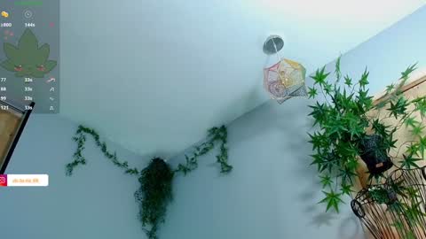 Victoria   online show from 01.27.25