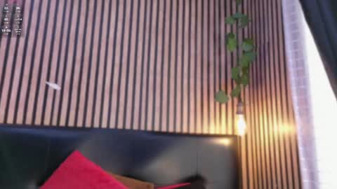 Snapshot of victoria__ponce chatting on 10.21.25 victorira online show from 10.21.25