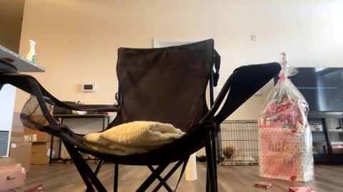 Snapshot of victoryd007 chatting on 02.22.25 victoryd007 online show from 02.22.25