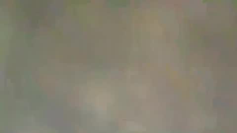 viennaguy79 online show from 03.03.26