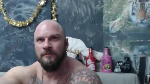 viking online show from 02.25.26