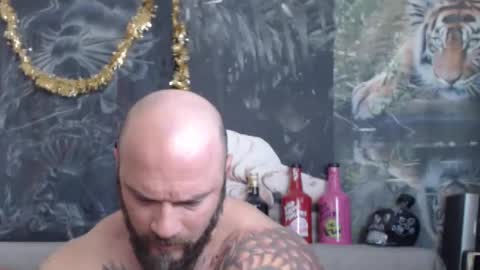 viking online show from 03.16.26