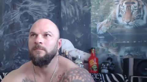 viking online show from 04.14.26