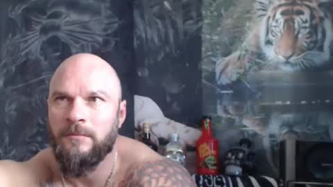 viking online show from 04.22.26