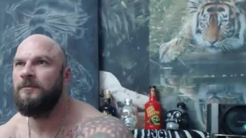 viking online show from 04.22.26
