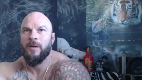 viking online show from 04.23.26
