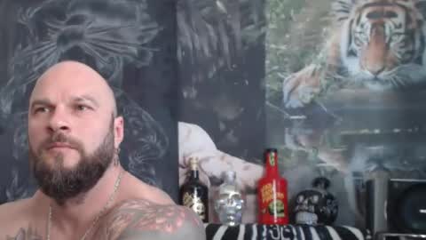 viking online show from 04.24.26