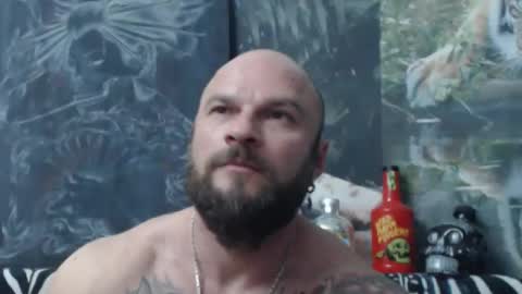 viking online show from 05.03.26