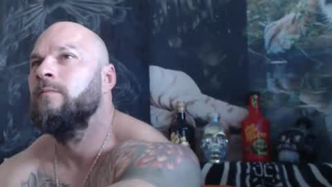 viking online show from 05.06.26