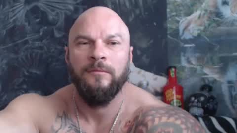 viking online show from 05.20.26