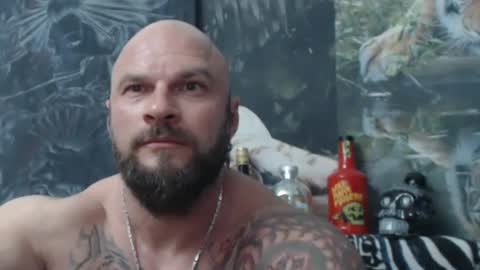 viking online show from 05.20.26
