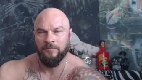 viking online show from 05.21.26