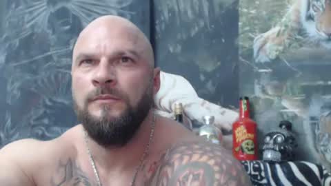 viking online show from 06.01.26