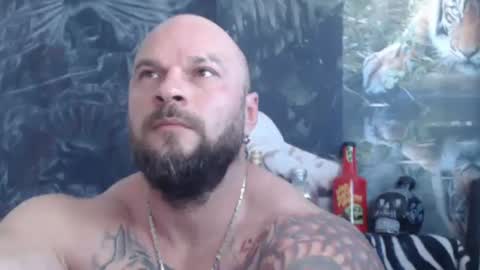 viking online show from 06.08.26