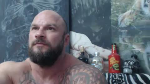 viking online show from 06.17.26