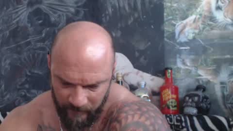 viking online show from 06.22.26