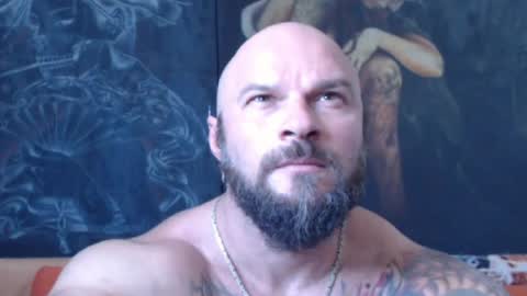 viking online show from 07.28.26