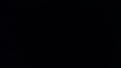 Daniela online show from 12.16.24