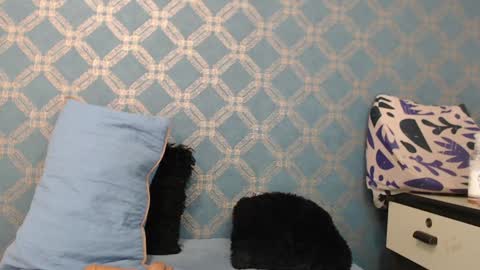 Snapshot of violeta_cute18 chatting on 12.18.24 Violeta online show from 12.18.24