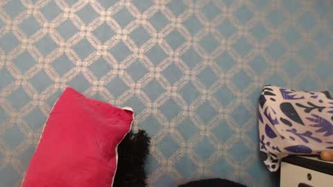 Snapshot of violeta_cute18 chatting on 01.10.25 Violeta online show from 01.10.25