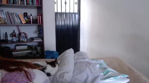 Violeta Peter online show from 02.23.25