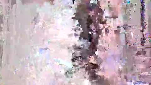 vitto_hammer5758 online show from 02.21.26