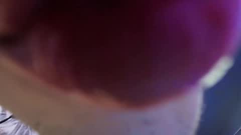 Snapshot of vittorio_cerati chatting on 05.29.26 new acount online show from 05.29.26