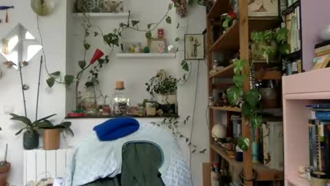 Viv online show from 12.03.24