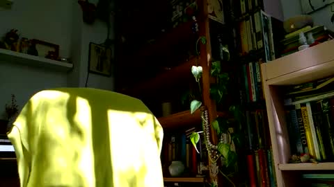 Viv online show from 10.27.25