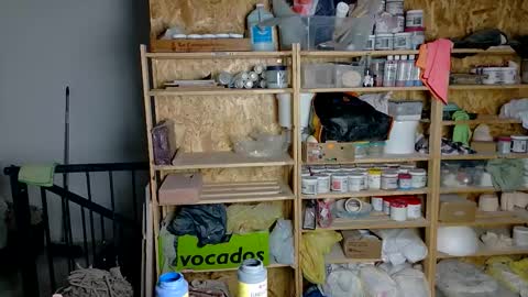 Viv online show from 01.14.26