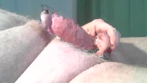 vukavuka99 online show from 03.02.26