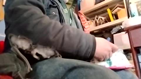 Snapshot of waffywaff77 chatting on 01.12.25 waffywaff77 online show from 01.12.25