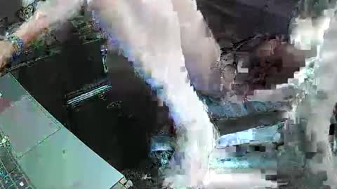 Snapshot of walksindarkness chatting on 09.11.25 walksindarkness online show from 09.11.25