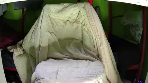 Snapshot of walltazv chatting on 11.12.25 Kentaro online show from 11.12.25