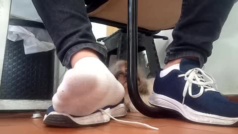 WaltherFeet  online show from 09.08.25