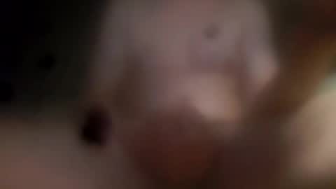 wankerpride online show from 11.23.25