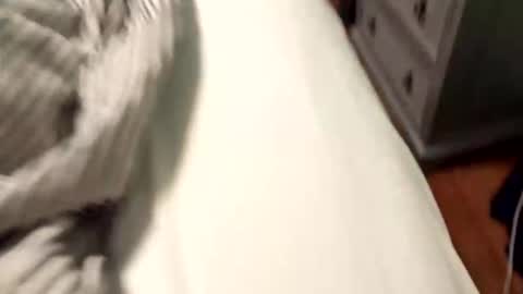 wannacam237 online show from 04.21.26