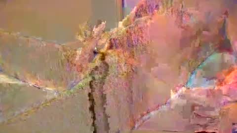 want2cum4gal online show from 12.29.24