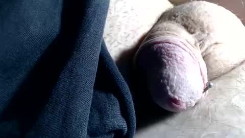 wants online show from 11.06.25