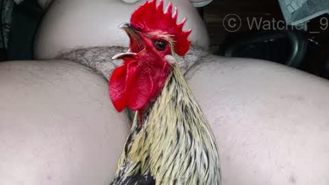 Snapshot of watcher_9 chatting on 12.25.24 classified online show from 12.25.24